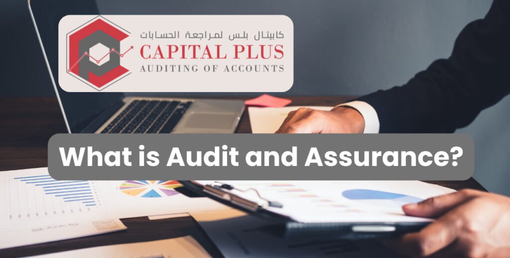 What is Audit and Assurance? Differences and Importance for business