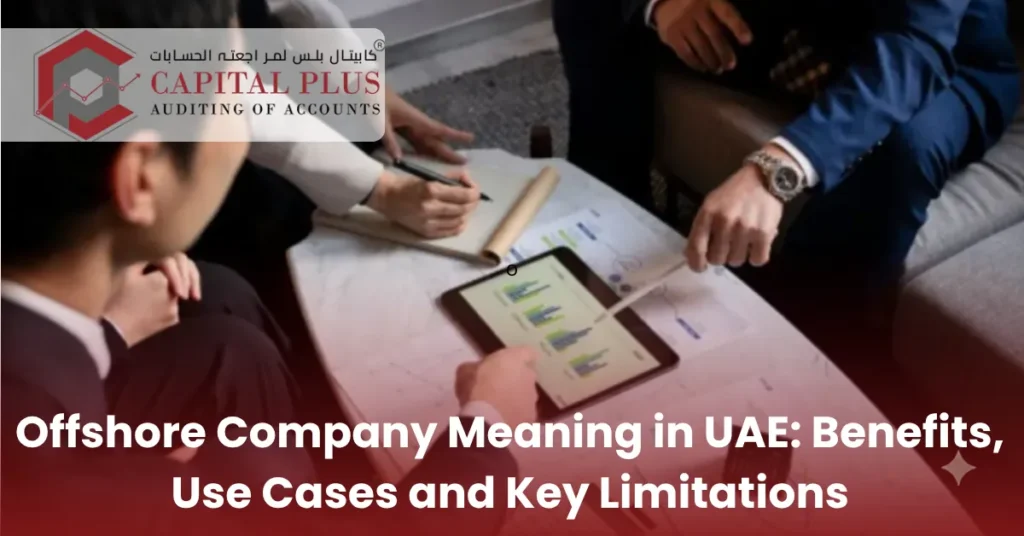 Offshore Company Meaning in UAE
