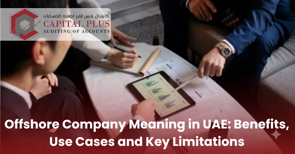 Offshore Company Meaning in UAE