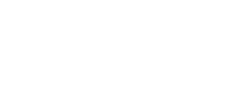 Capital Plus Auditing of Accounts