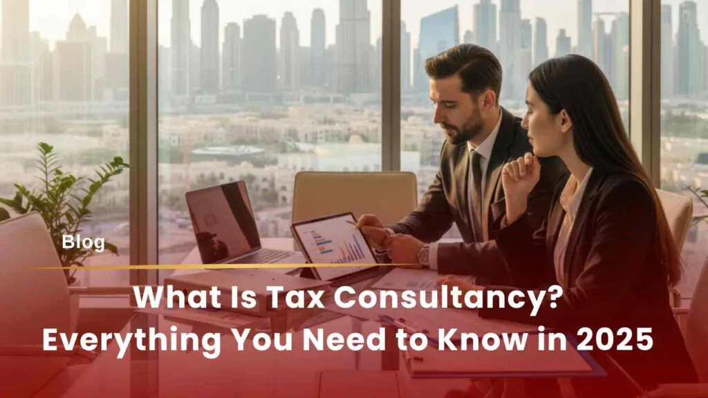 Tax consultant advising client in Dubai office