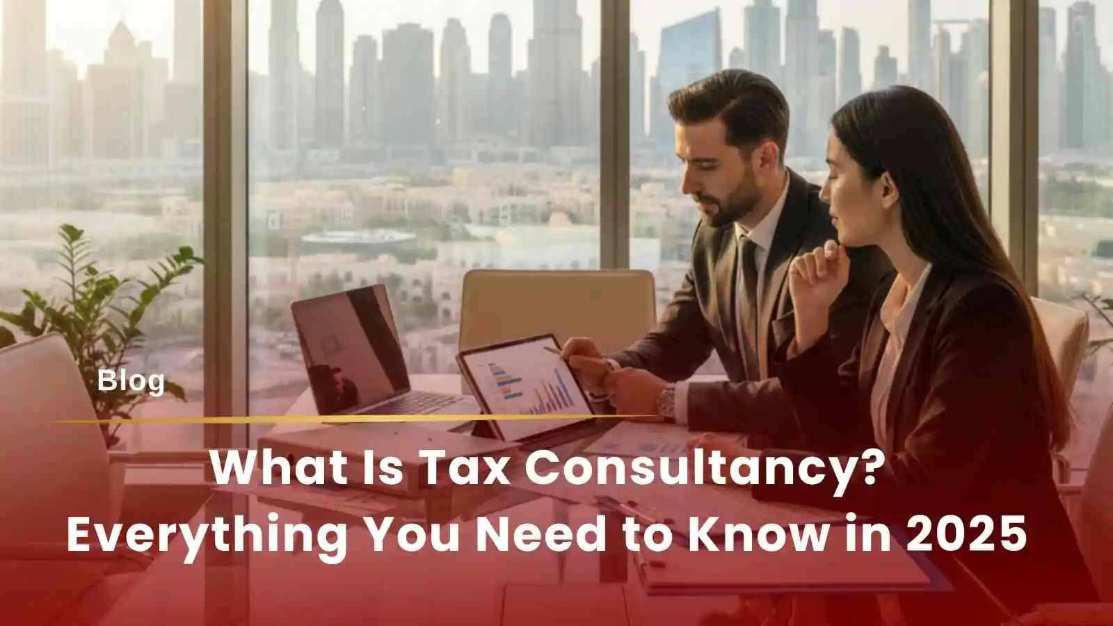 Tax consultant advising client in Dubai office